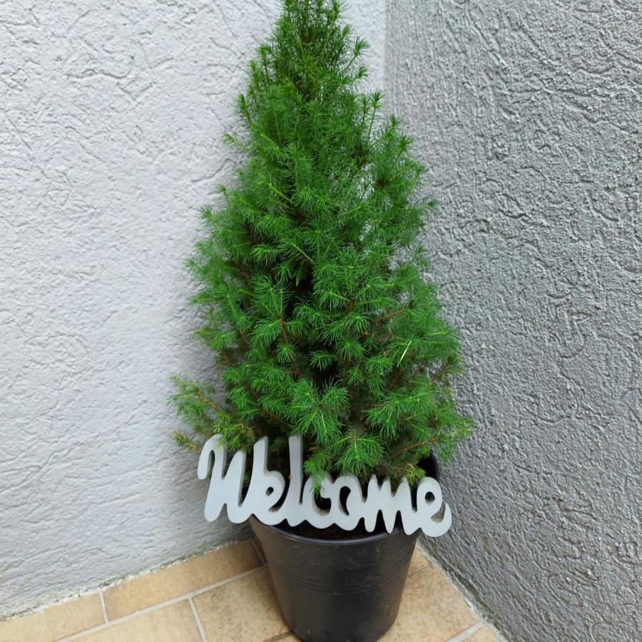 Feels Like Home @ Eppinger Remseck am Neckar Exterior foto